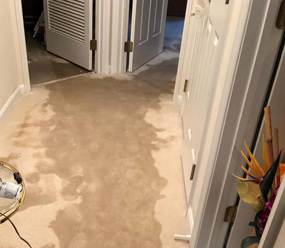 UCM Carpet Cleaning Centreville | Best Value in Fairfax County