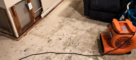 Mold Testing & Inspection in Centreville VA